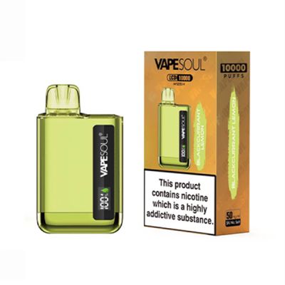 Blackcurrant Lemon VapeSoul LCD 10000 Puffs Mesh Disposable