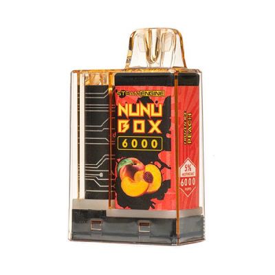 Steam Engine Frozen Ice Peach Nunu Box 6000 Disposable Vape